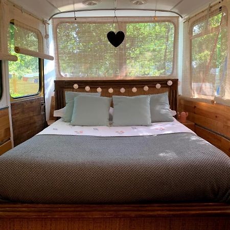 Magic Roof Top Bus With Big Bath In The Tree Forest! Mimizan Esterno foto