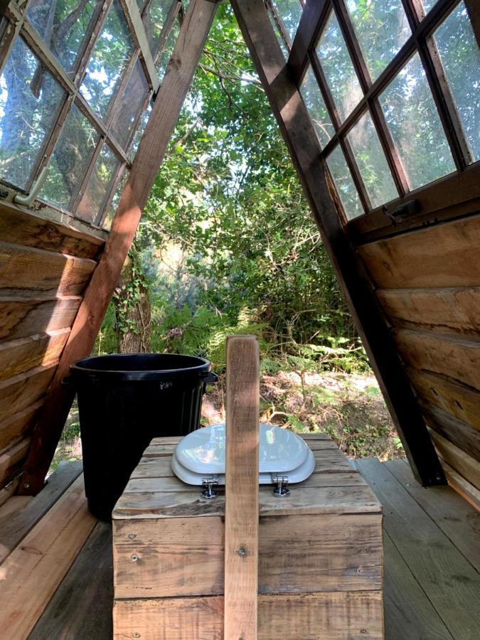 Magic Roof Top Bus With Big Bath In The Tree Forest! Mimizan Esterno foto