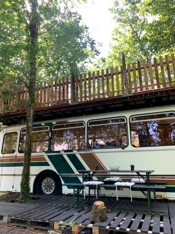 Magic Roof Top Bus With Big Bath In The Tree Forest! Mimizan Esterno foto