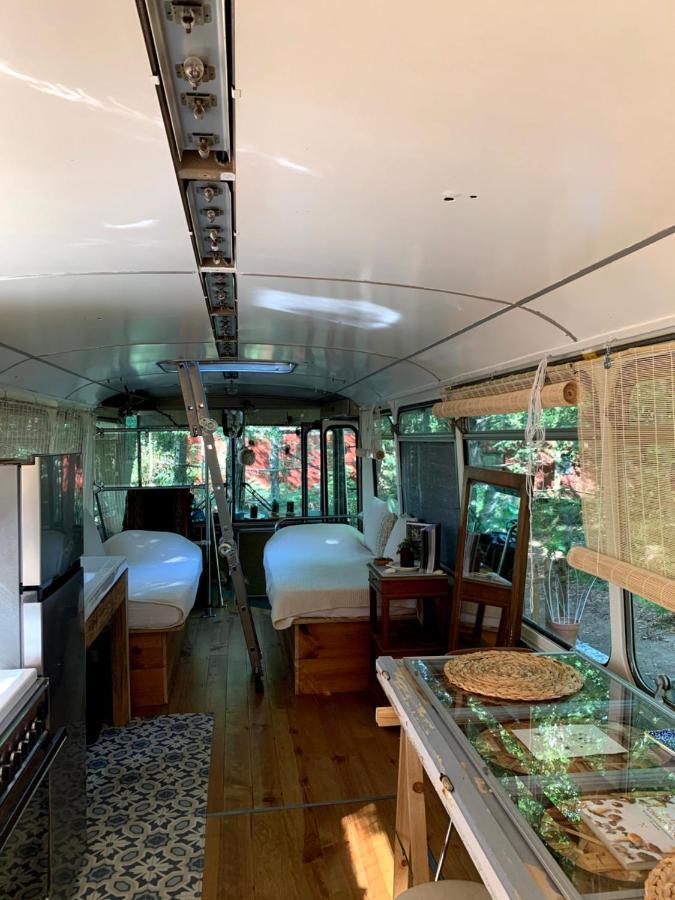 Magic Roof Top Bus With Big Bath In The Tree Forest! Mimizan Esterno foto