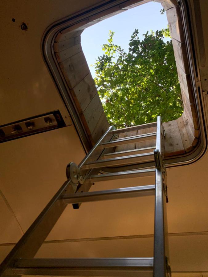 Magic Roof Top Bus With Big Bath In The Tree Forest! Mimizan Esterno foto