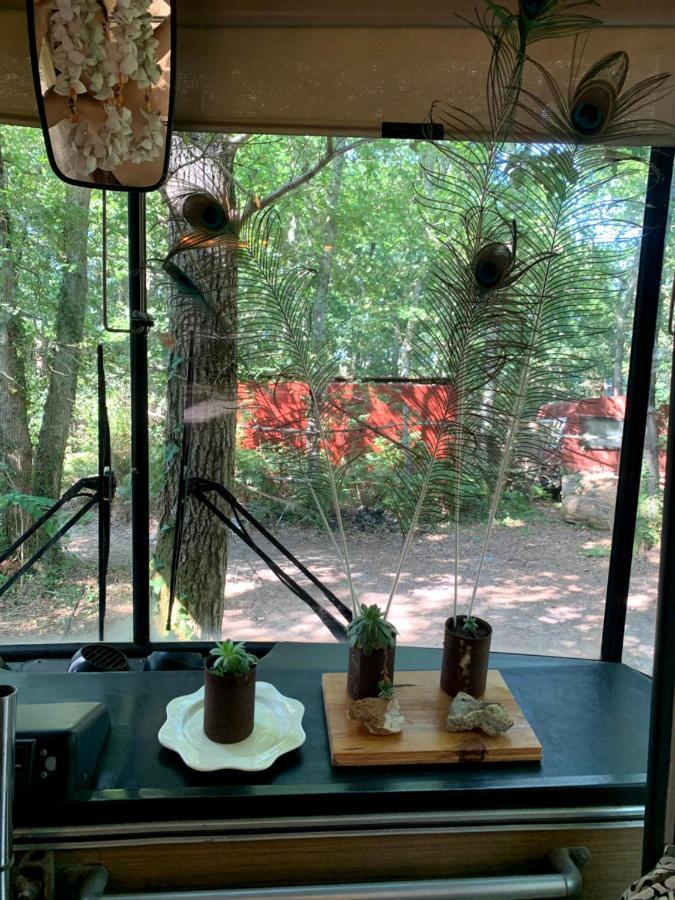 Magic Roof Top Bus With Big Bath In The Tree Forest! Mimizan Esterno foto